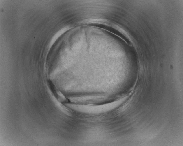 X0000076221050200611012058