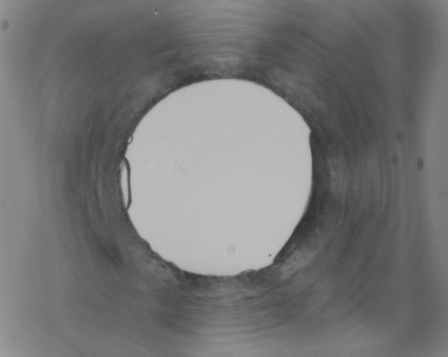 X0000076221057200611012058