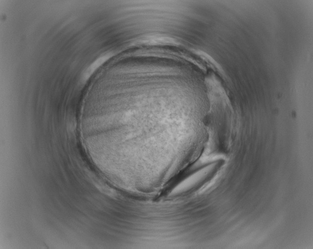 X0000076221065200611012058