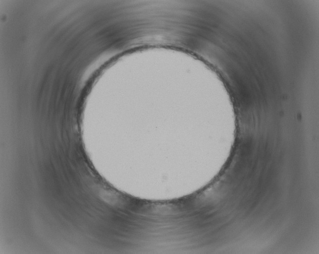 X0000076221070200611012058
