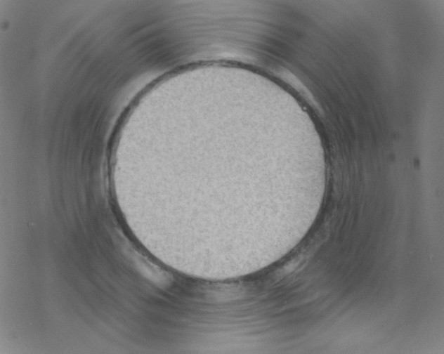 X0000076221076200611012057