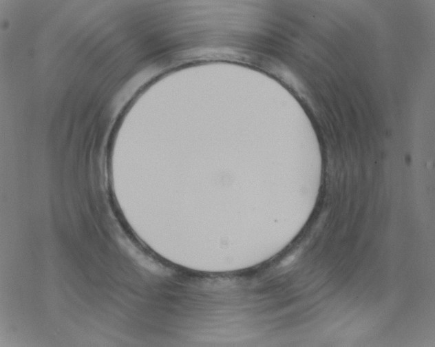 X0000076221082200611012057
