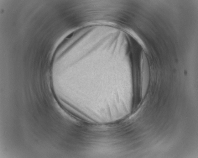 X0000076221100200611012057