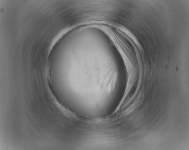 X0000076221101200611012057