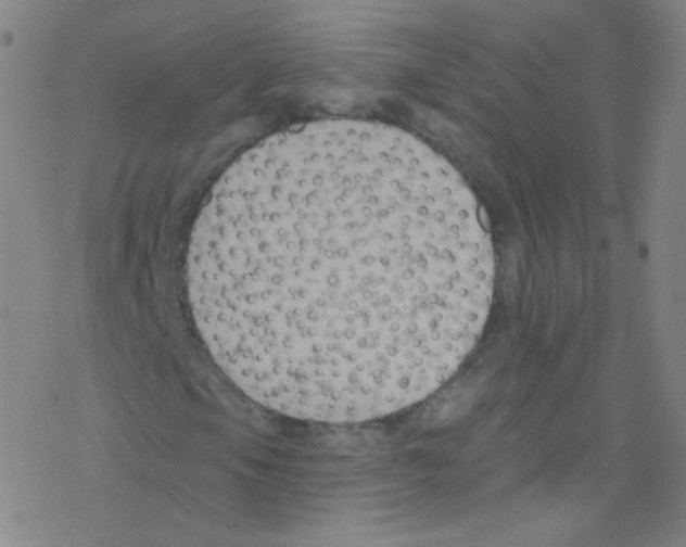 X0000076221105200611012056
