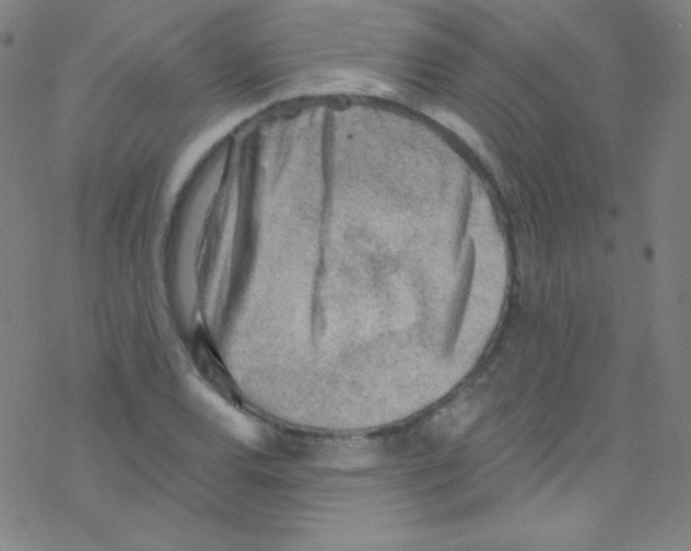 X0000076221120200611012057