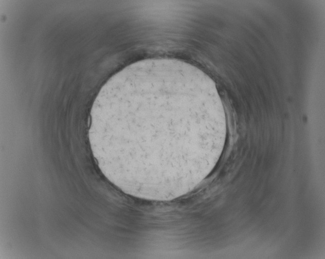 X0000076221153200611012056