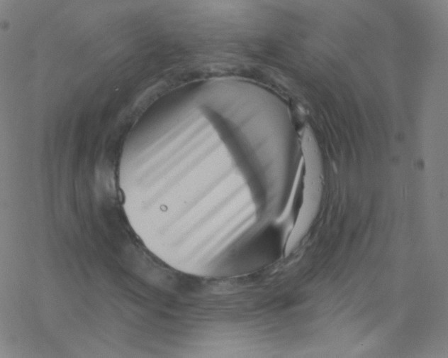 X0000076221155200611012056