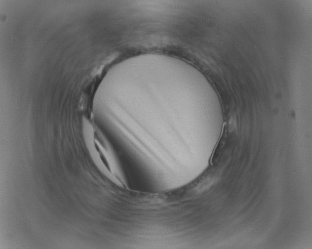 X0000076221156200611012056