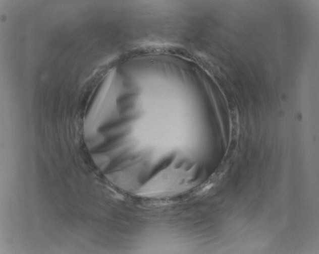 X0000076221157200611012056