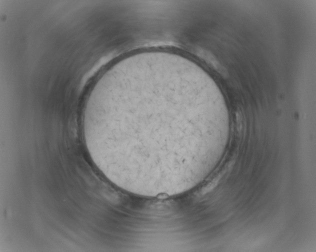 X0000076221165200611012056