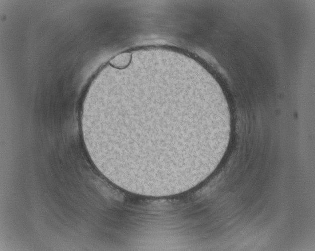 X0000076221167200611012056