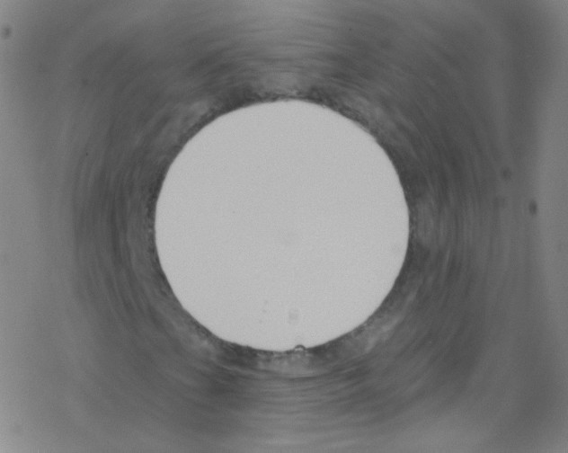X0000076221201200611012055