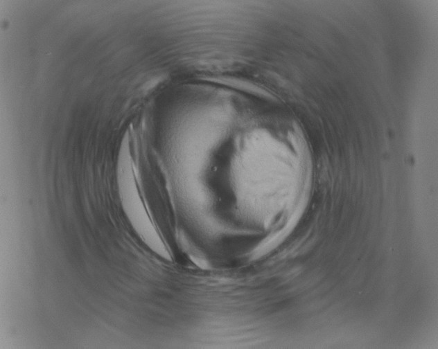 X0000076221202200611012055