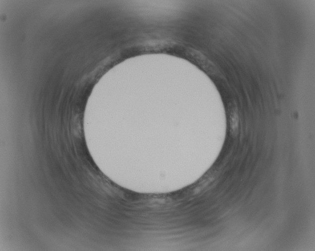 X0000076221204200611012055