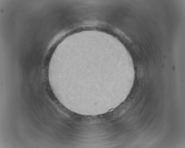 X0000076221208200611012055
