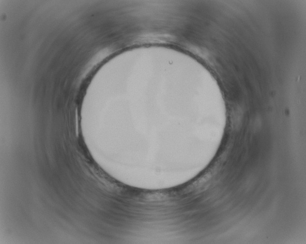X0000076221219200611012055