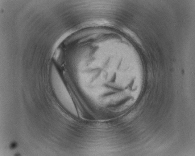 X0000076221226200611012055