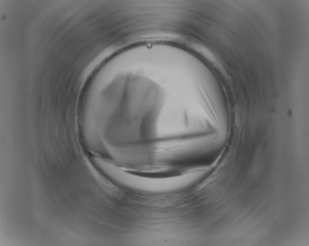 X0000076221229200611012055