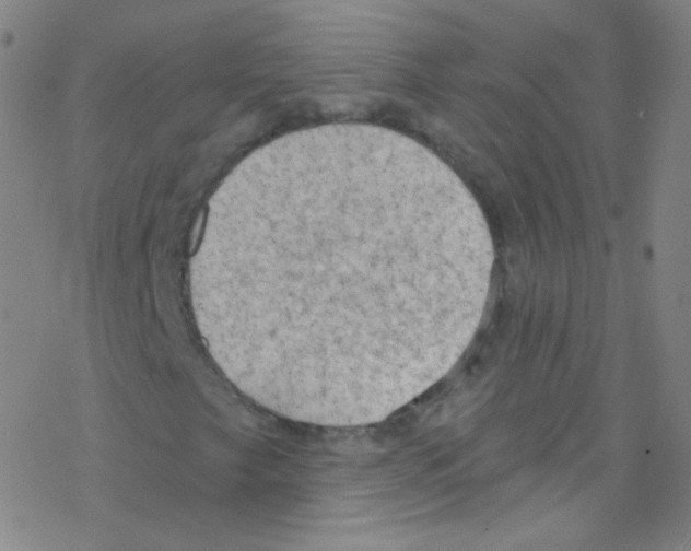 X0000076221249200611012055