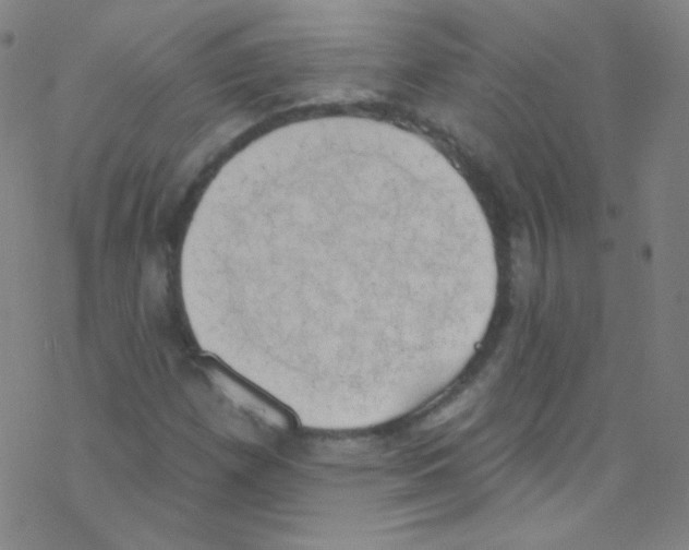 X0000076221257200611012055