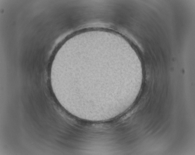 X0000076221264200611012054