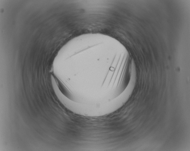X0000076221298200611012053