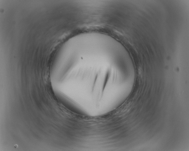X0000076221300200611012053