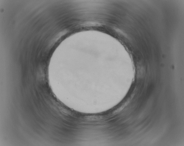 X0000076221305200611012053