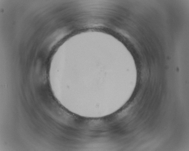 X0000076221306200611012053
