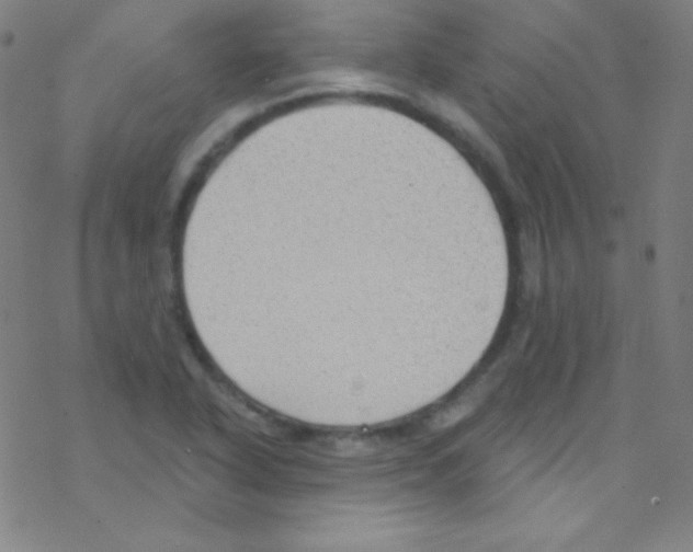 X0000076221318200611012053