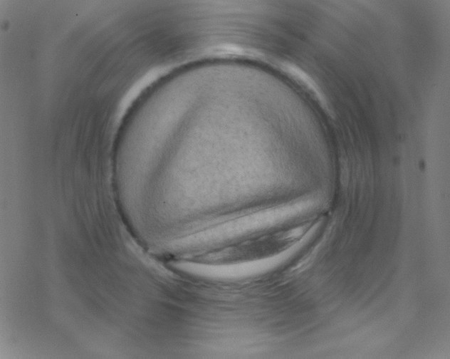 X0000076221326200611012054