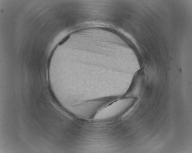 X0000076221365200611012053
