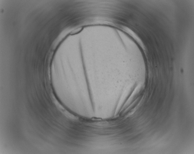 X0000076221388200611012052