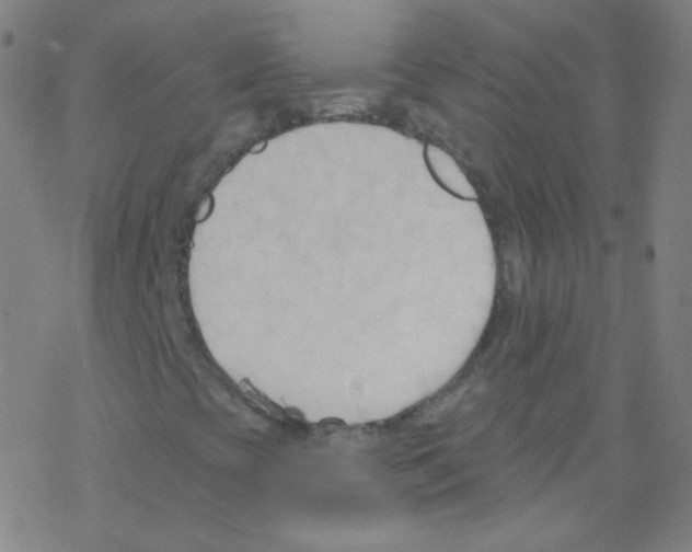 X0000076221393200611012052