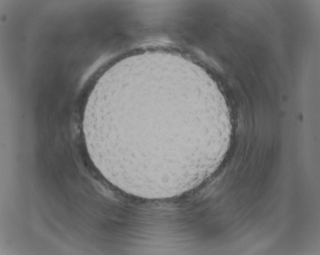 X0000076221400200611012052