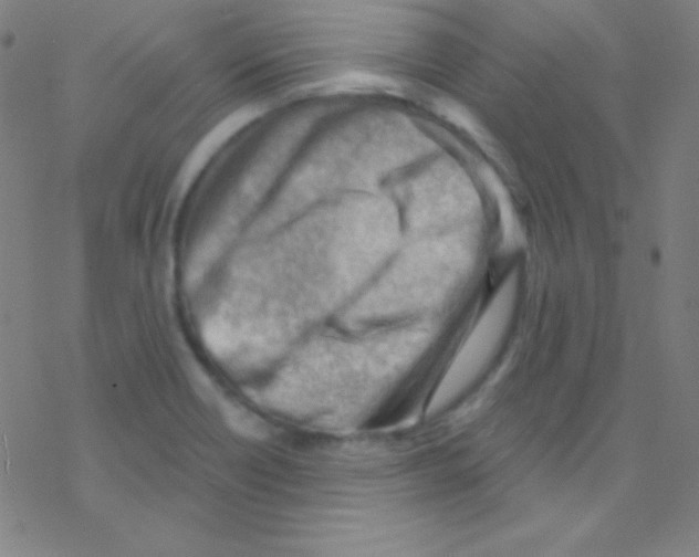 X0000076221418200611012052