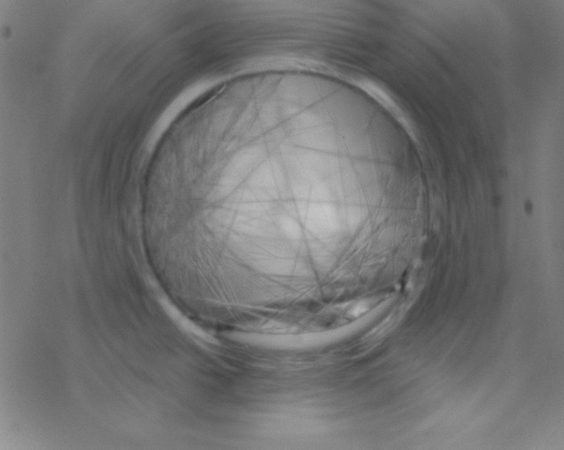 X0000076221438200611012052