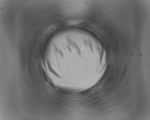 X0000076221441200611012052