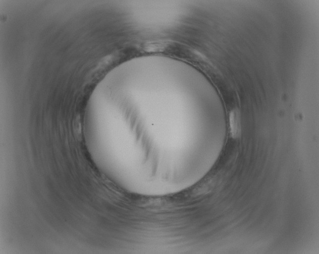 X0000076221443200611012052