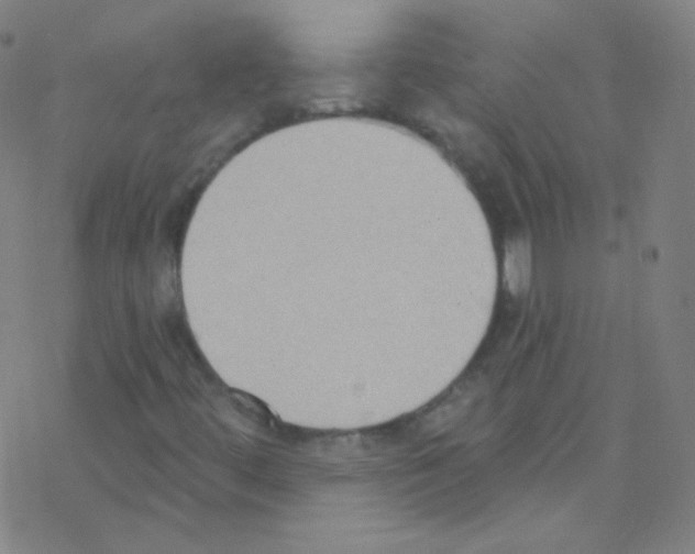 X0000076221444200611012051