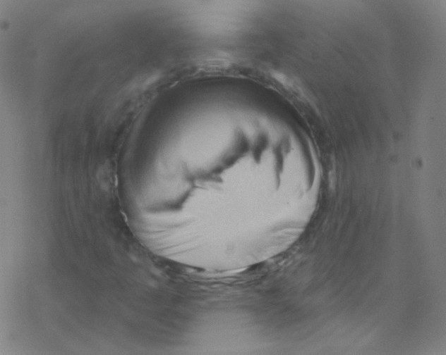 X0000076221445200611012051