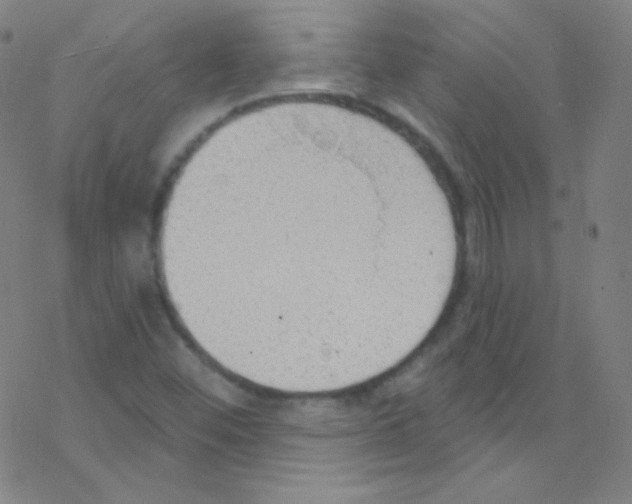 X0000076221452200611012051