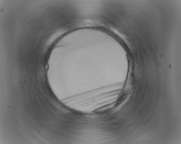 X0000076221453200611012051