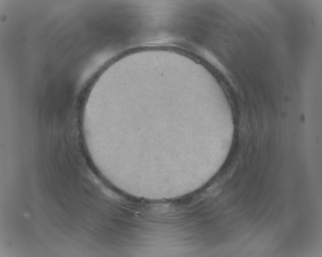 X0000076221456200611012051