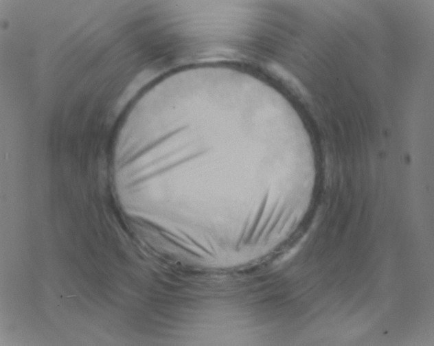 X0000076221457200611012051