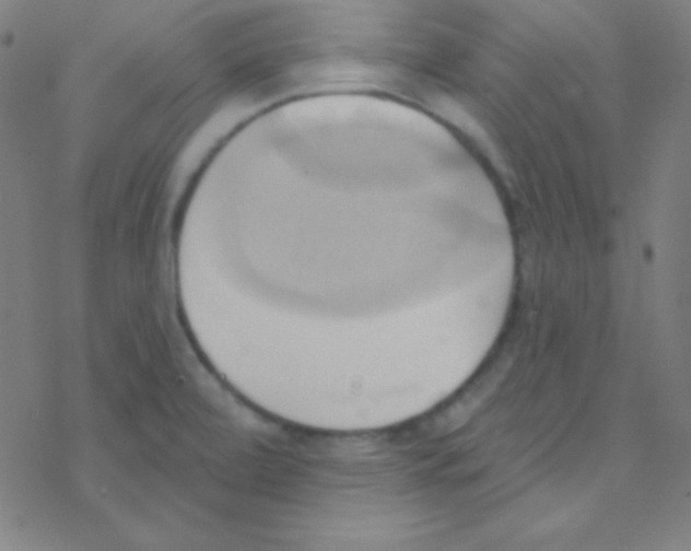 X0000076221472200611012051