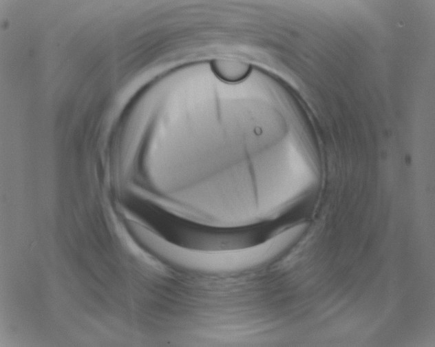 X0000076221515200611012050