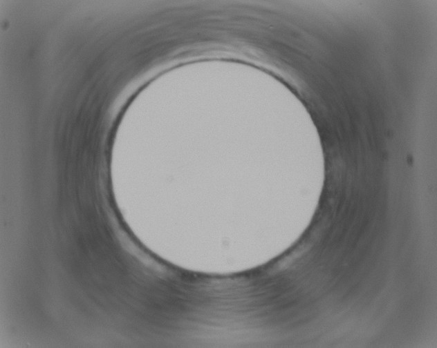 X0000076221518200611012050