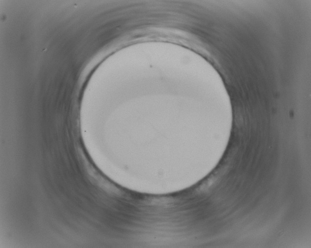 X0000076221522200611012051